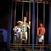 Joseph...Dreamcoat (Reagle Music Theatre, 2008)